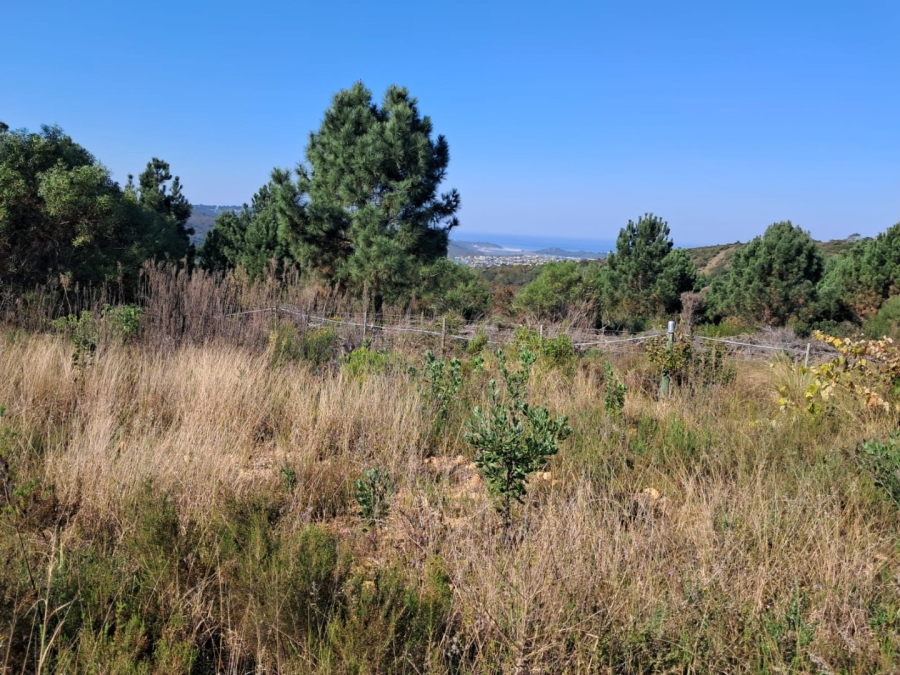 2 Bedroom Property for Sale in Rheeboksfontein Western Cape